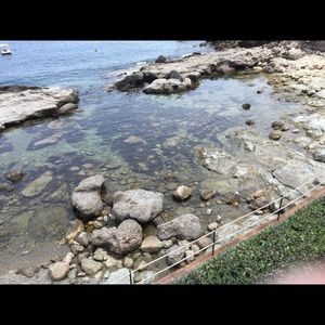 Meet your Posher, Valeria